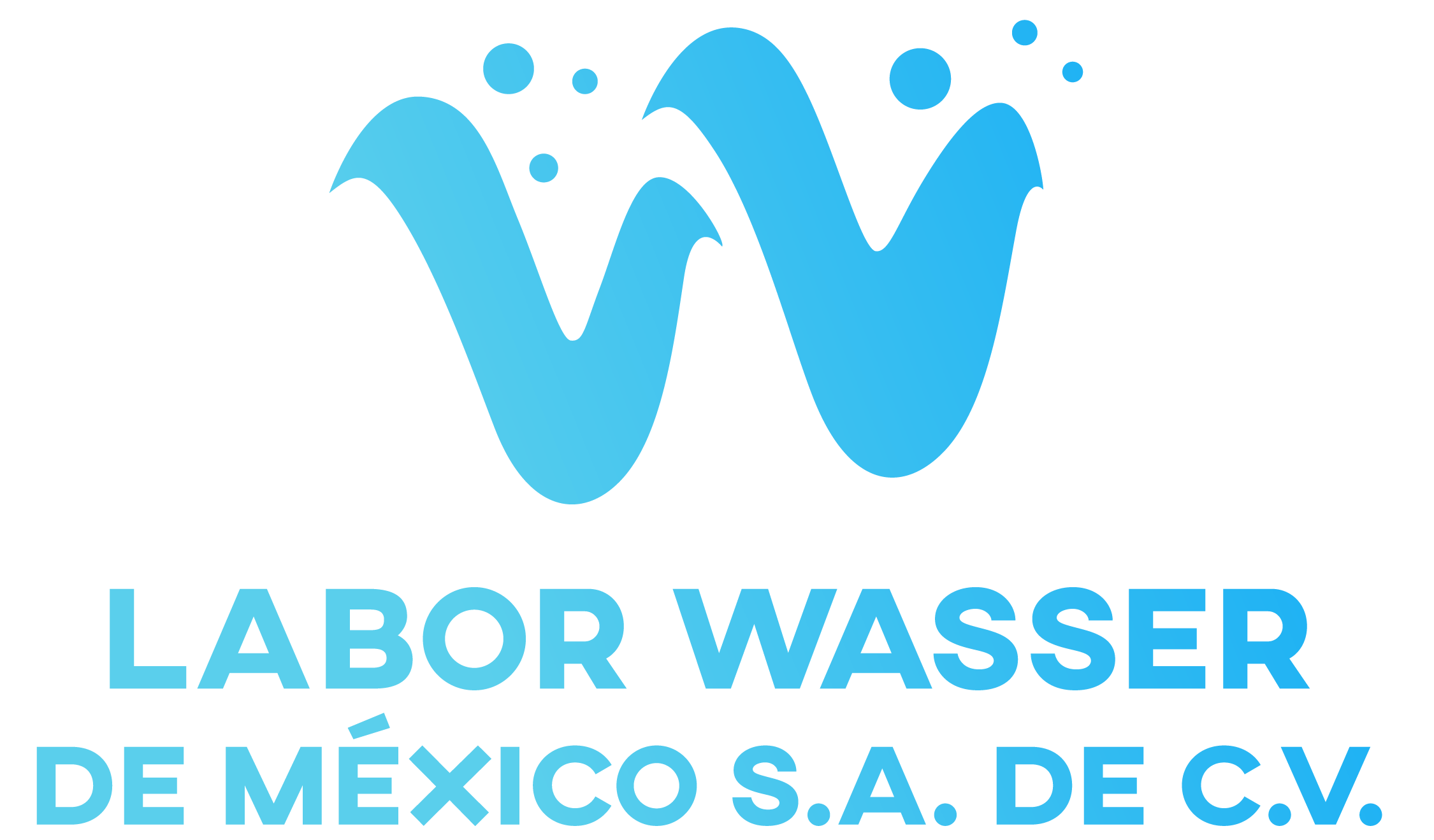 Labor Wasser México