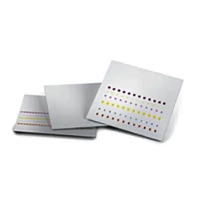 TLC Celulosa 50 placas de vidrio 10 x 20 cm MARCA MERCK.