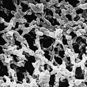 Membrana MF-Millipore, ésteres mezclados de celulosa, hidrófila; 0,22 µm, 47 mm, blanca, superficie lisa paq. con 100