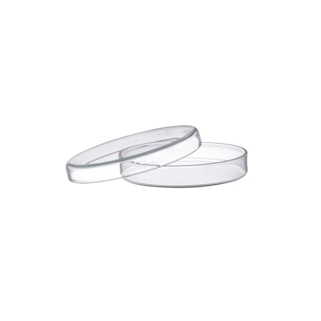 Petri Dish, outer dia 120 x 20mm height, made of high quality soda lime glass