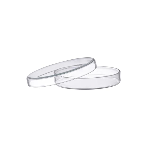Petri Dish, outer dia 150 x 25mm height, made of high quality soda lime glass