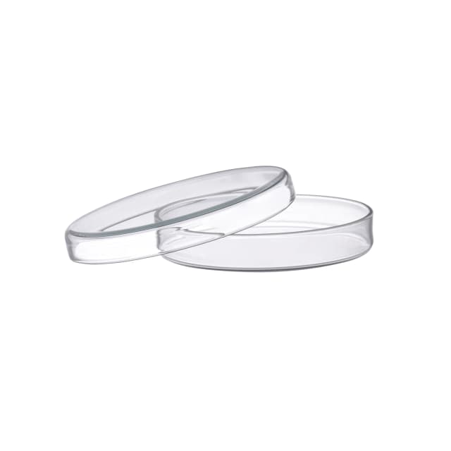 Petri Dish, outer dia 180 x 30mm height, made of high quality soda lime glass