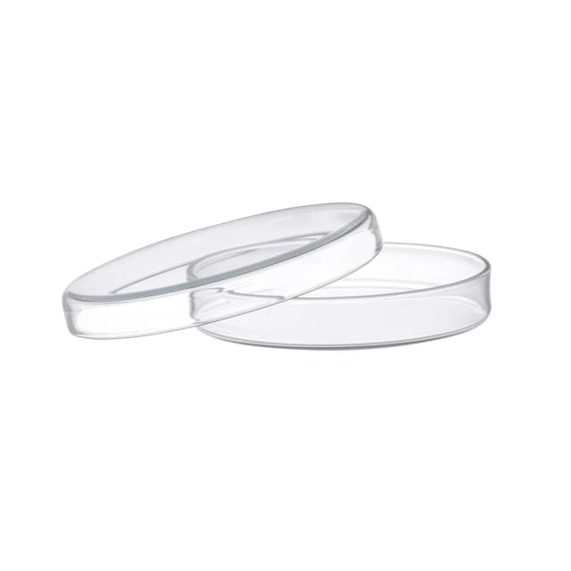 Petri Dish, outer dia 200 x 30mm height, made of high quality soda lime glass