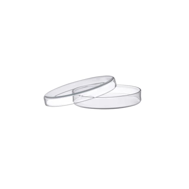 Petri Dish, outer dia 100 x 17mm height, borosilicate glass