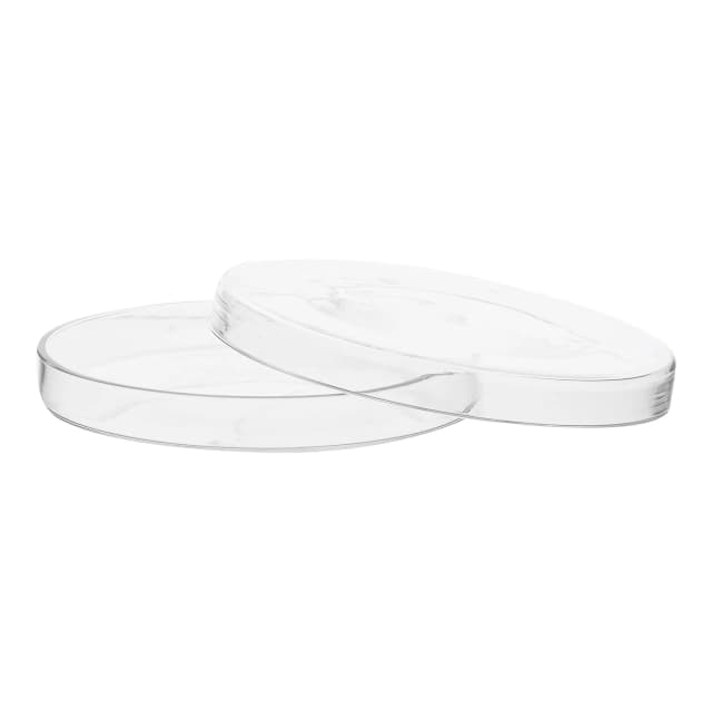 Petri Dish, outer dia 150 x 20mm height, borosilicate glass