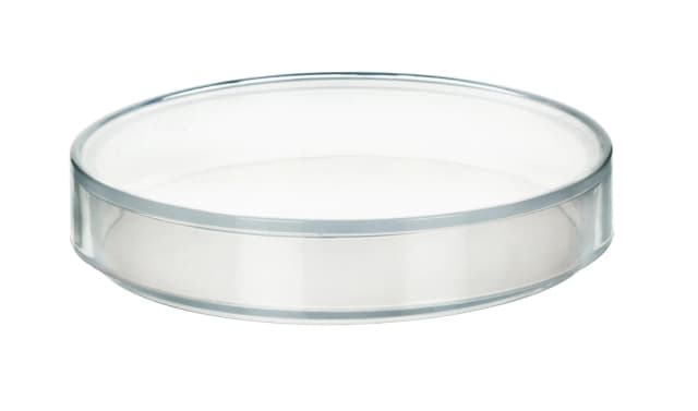 Petri Dish 150mm, moulded in Polypropylene