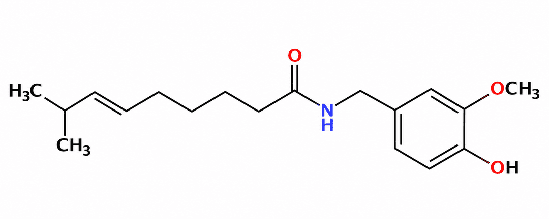 USP Capsaicin United States Pharmacopeia (USP) Reference Standard Vial de 100 mg
