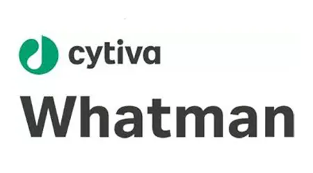 Whatman